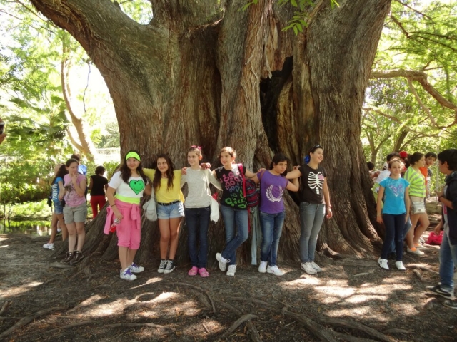 Excursiones escolares